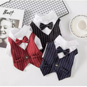 宠物狗服饰、西装夏天薄款、泰迪西服衬衫婚纱礼服