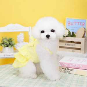 宠物衣服春夏薄款狗裙子泰迪比熊小型犬猫咪糖果色层次连衣裙