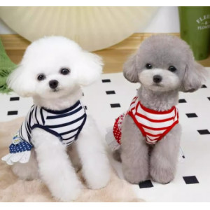 宠物衣服小狗狗连衣裙泰迪春天夏天条纹花边裙幼犬两脚衣