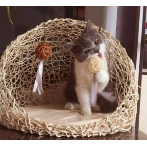 猫窝夏季四季通用藤编幼猫猫床猫咪用品宠物房子玩具可拆洗狗窝凉